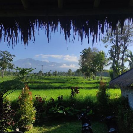 New Rinjani Homestay 特特巴图 外观 照片