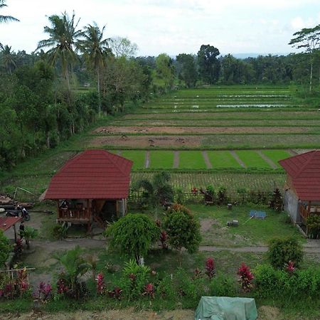 New Rinjani Homestay 特特巴图 外观 照片