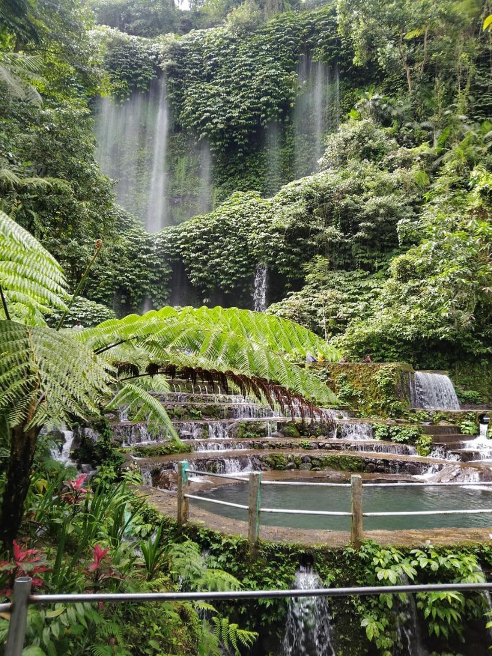 New Rinjani Homestay 特特巴图 外观 照片
