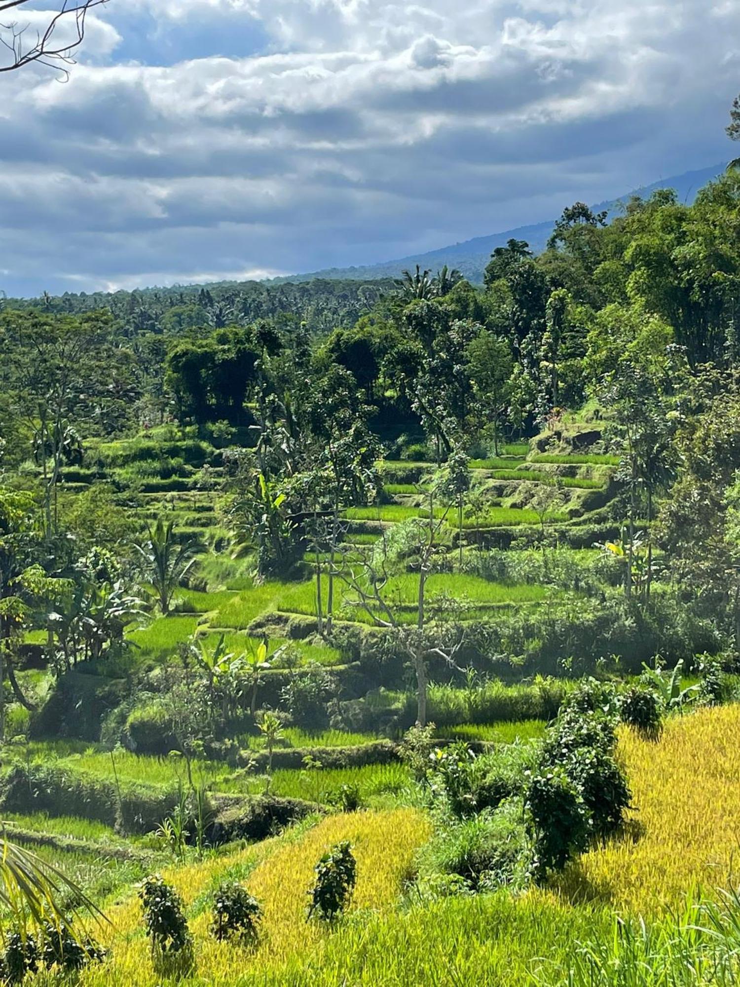 New Rinjani Homestay 特特巴图 外观 照片