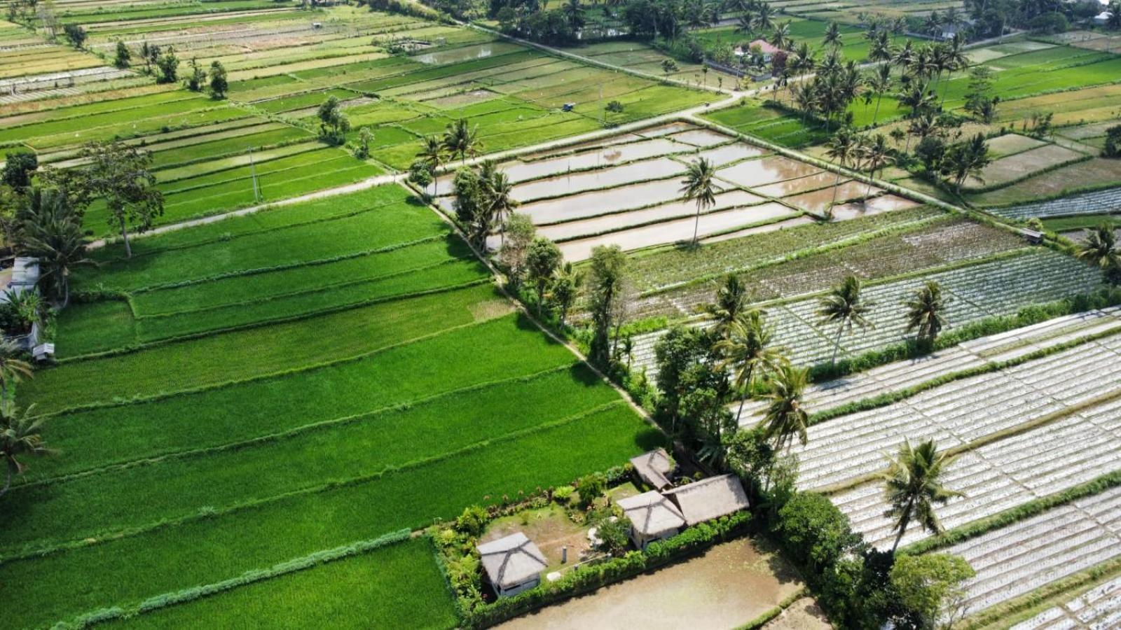 New Rinjani Homestay 特特巴图 客房 照片