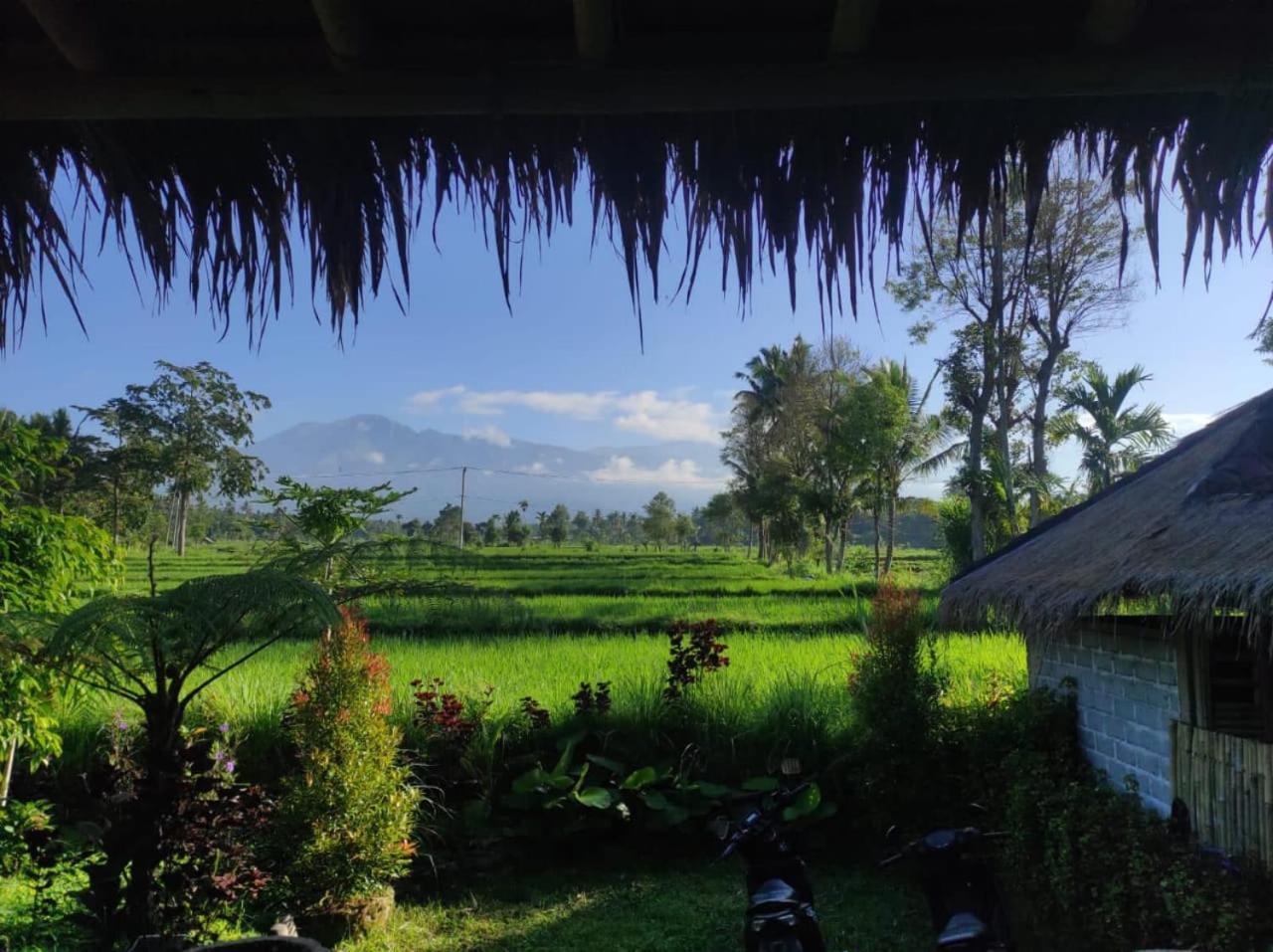 New Rinjani Homestay 特特巴图 外观 照片
