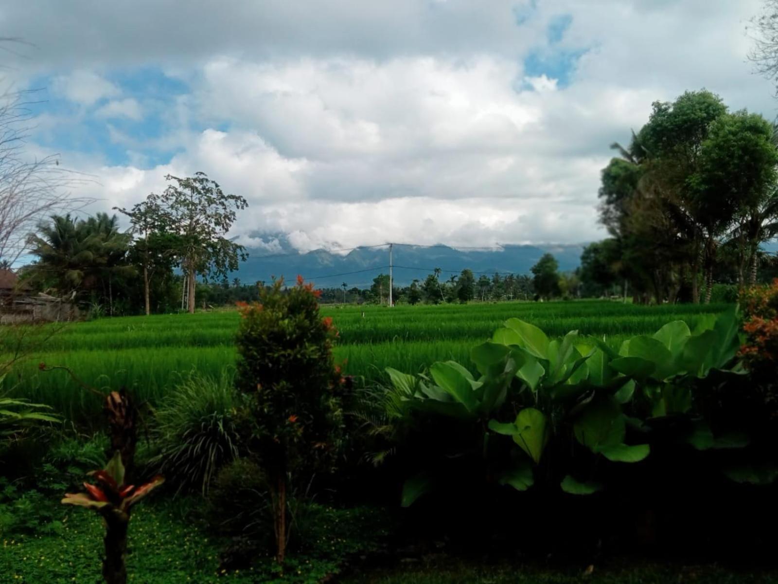 New Rinjani Homestay 特特巴图 客房 照片