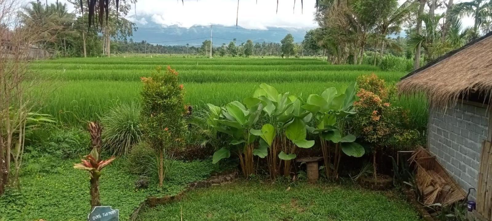 New Rinjani Homestay 特特巴图 客房 照片
