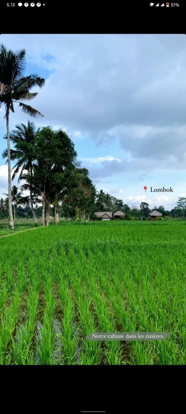 New Rinjani Homestay 特特巴图 客房 照片