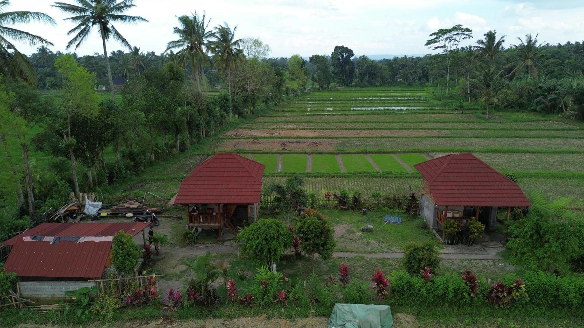 New Rinjani Homestay 特特巴图 外观 照片