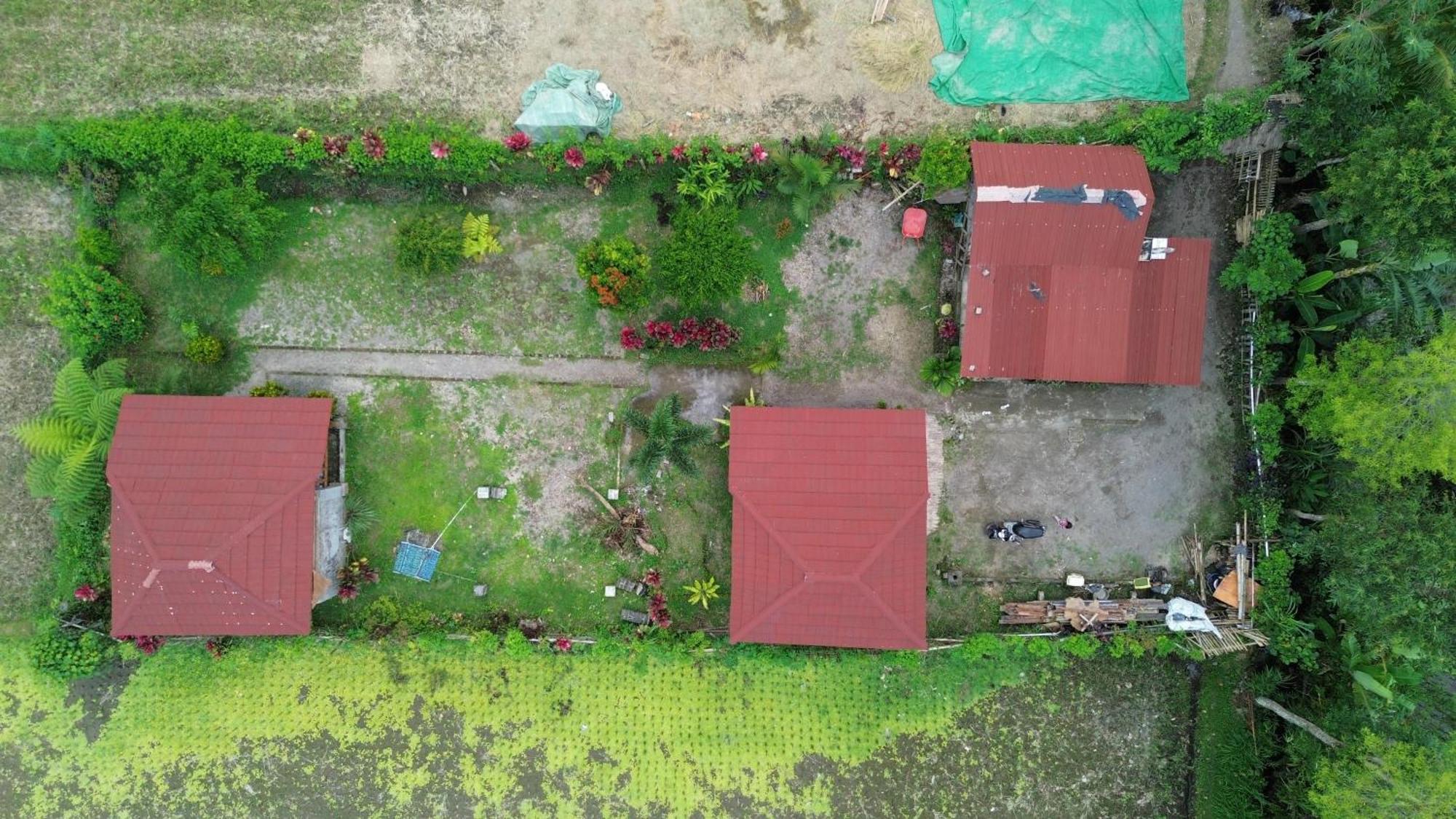 New Rinjani Homestay 特特巴图 外观 照片